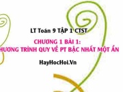 Hướng Dẫn Giải Phương Trình Quy Về Bậc Nhất Một Ẩn -...